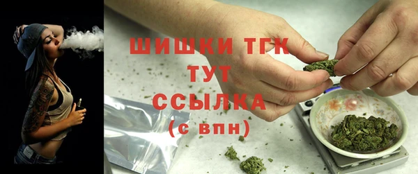 ПСИЛОЦИБИНОВЫЕ ГРИБЫ Новодвинск