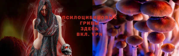 кокаин Новозыбков