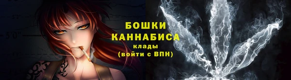 ПСИЛОЦИБИНОВЫЕ ГРИБЫ Новодвинск