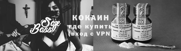 ПСИЛОЦИБИНОВЫЕ ГРИБЫ Новодвинск