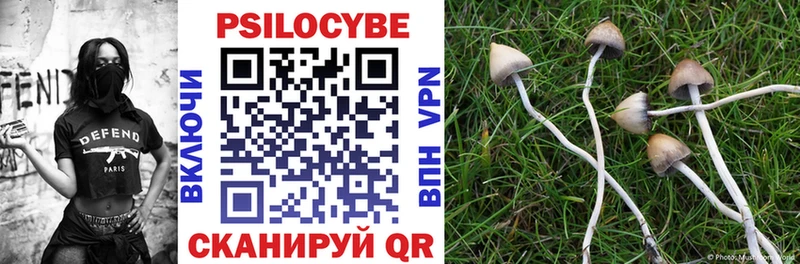 hydra ссылка  Реутов  Галлюциногенные грибы MAGIC MUSHROOMS 
