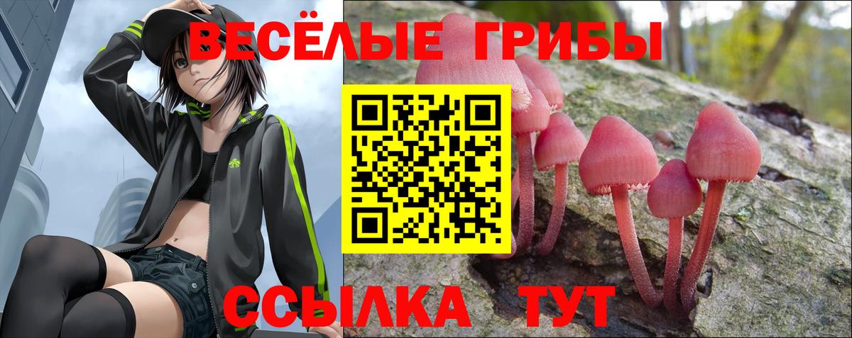 Псилоцибиновые грибы Psilocybine cubensis  Вход с VPN  Реутов 
