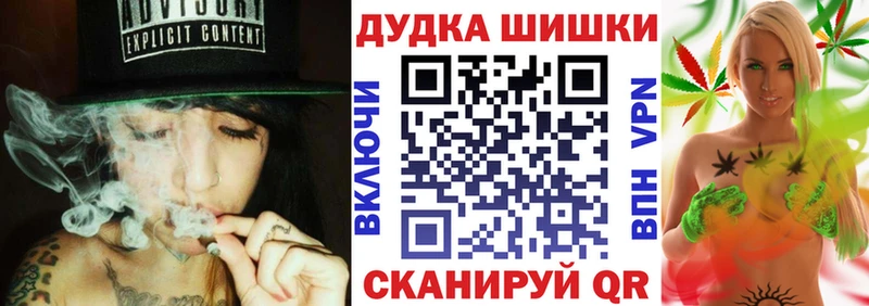 Бошки Шишки план Реутов